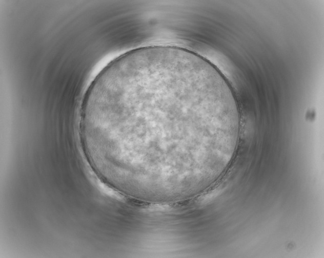 X0000090441094200708102022