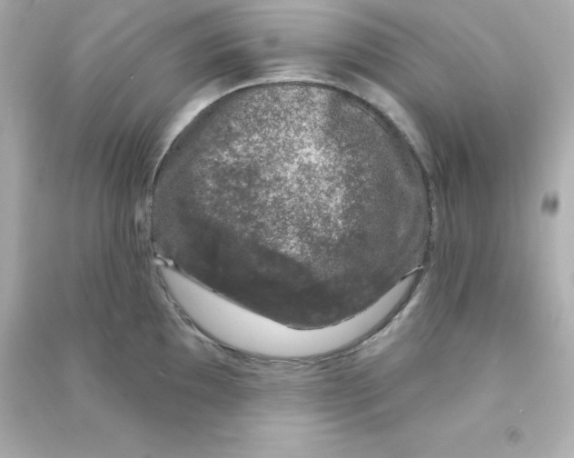 X0000090441097200708102022
