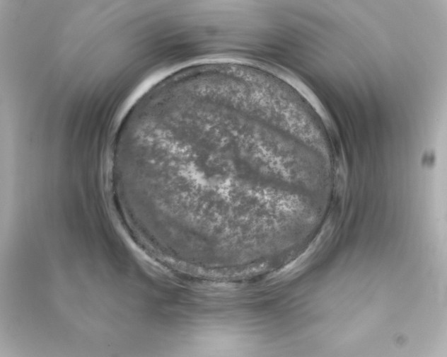 X0000090441101200708102022