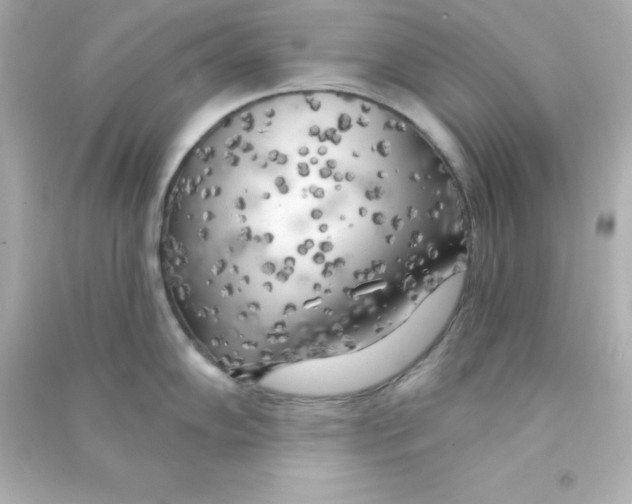 X0000090441102200708102022