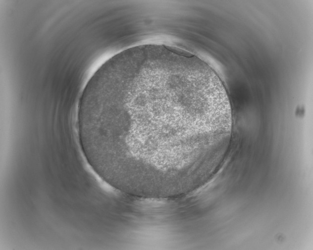 X0000090441103200708102022