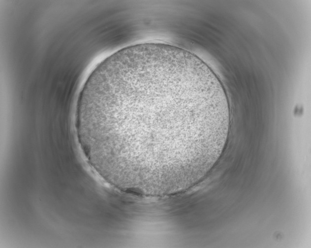 X0000090441104200708102022