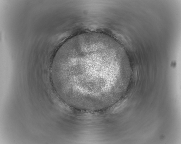 X0000090441105200708102021