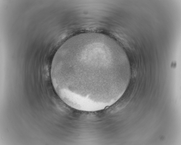 X0000090441106200708102021