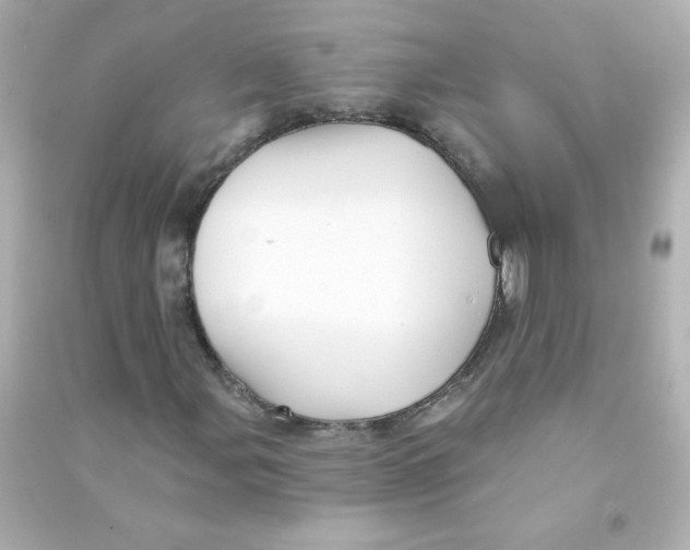 X0000090441107200708102021