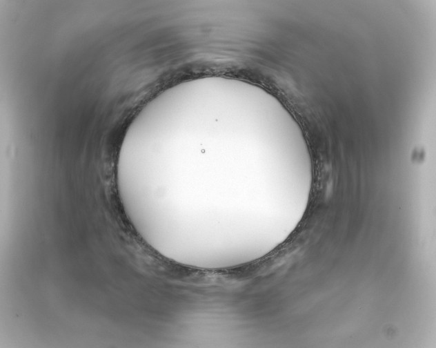 X0000090441109200708102021