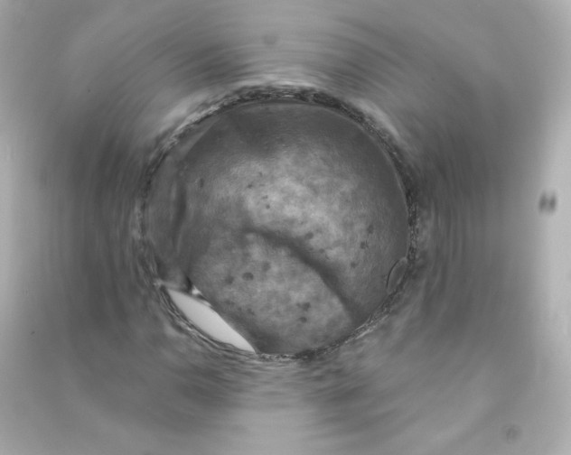 X0000090441110200708102021