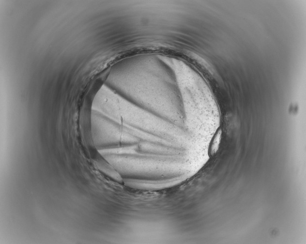 X0000090441111200708102021