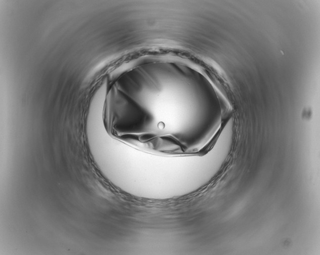 X0000090441112200708102021