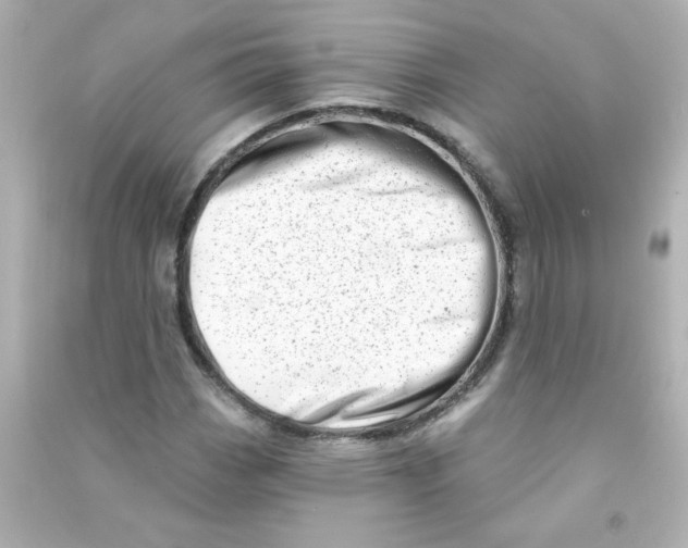 X0000090441113200708102021