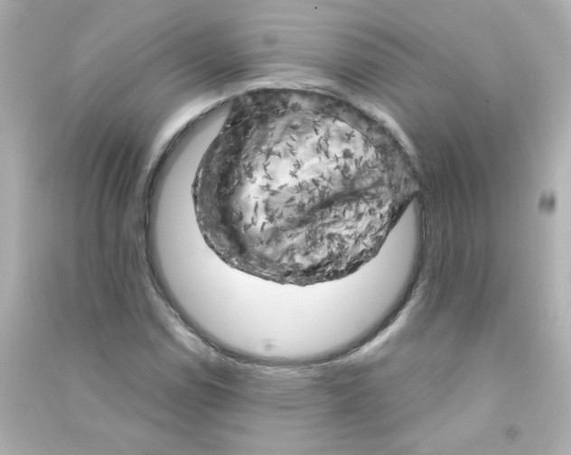 X0000090441114200708102021