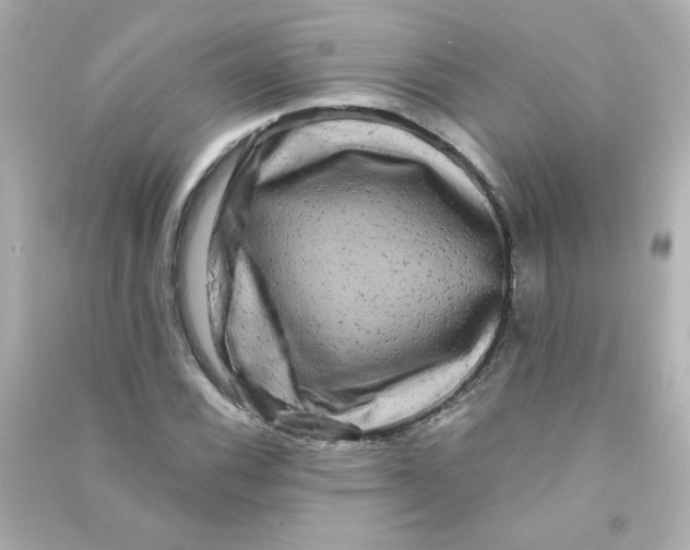 X0000090441116200708102021