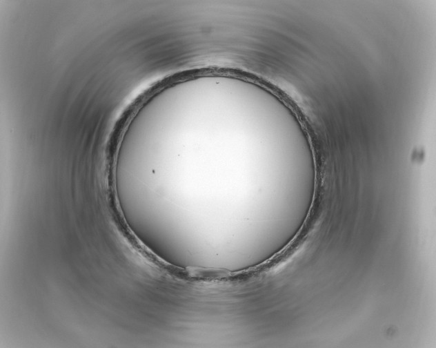X0000090441118200708102021
