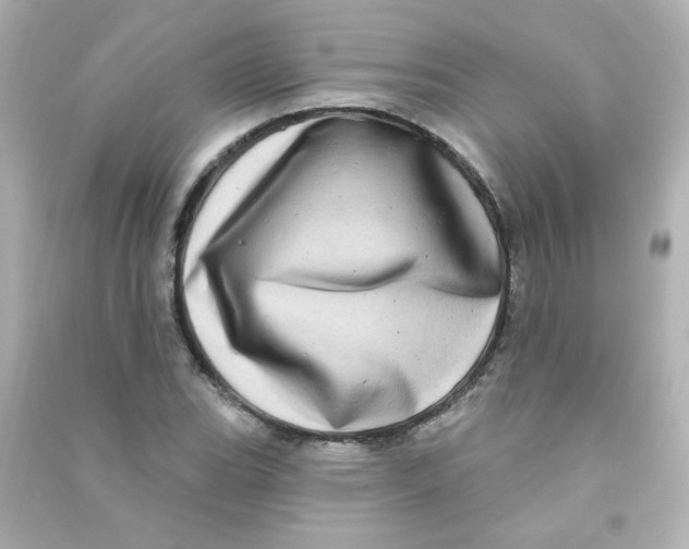 X0000090441119200708102021