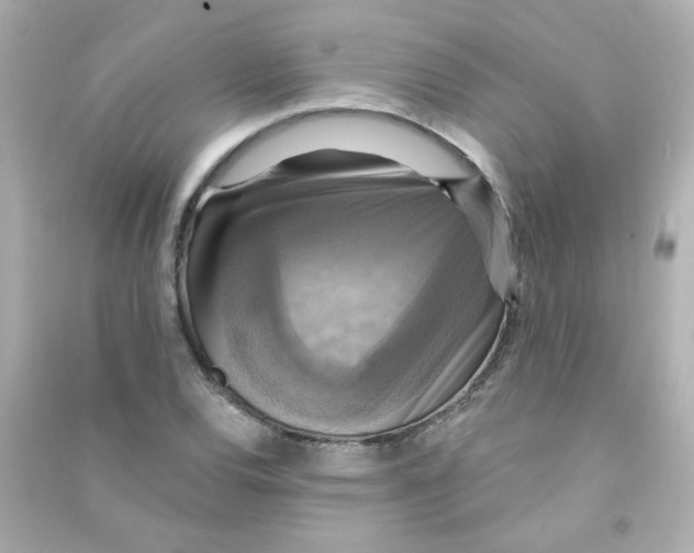 X0000090441120200708102021