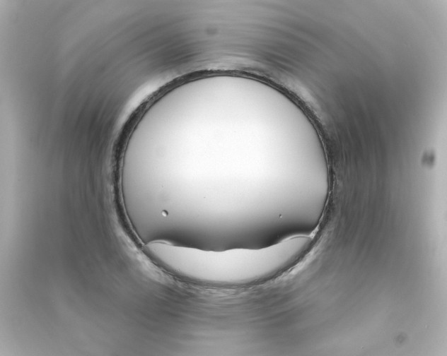X0000090441122200708102021