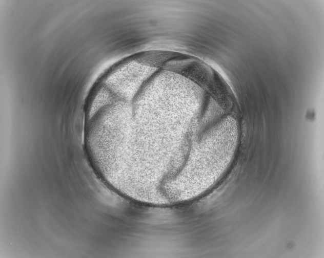 X0000090441123200708102021