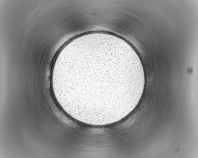 X0000090441126200708102021