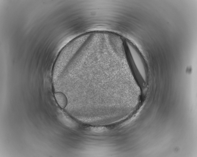 X0000090441129200708102021