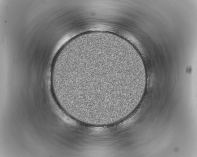 X0000090441130200708102021