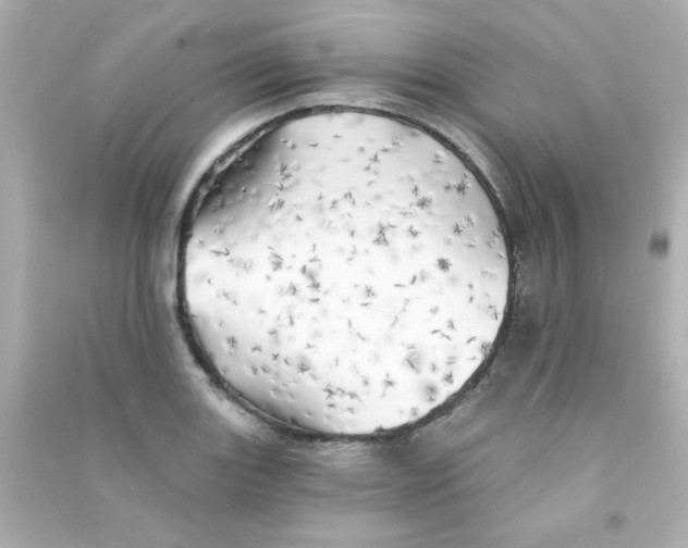 X0000090441131200708102021