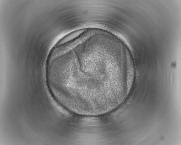 X0000090441133200708102021