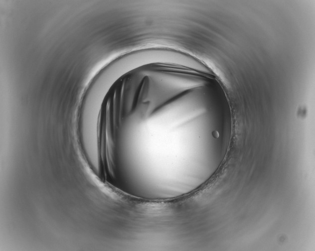 X0000090441134200708102021