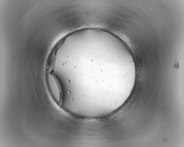 X0000090441135200708102021