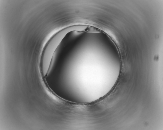 X0000090441136200708102021