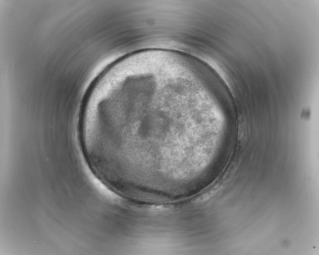 X0000090441139200708102021