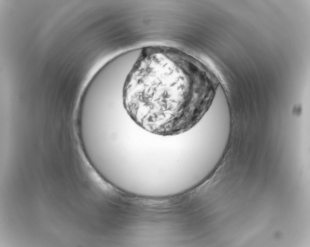 X0000090441140200708102021