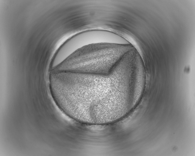 X0000090441141200708102021