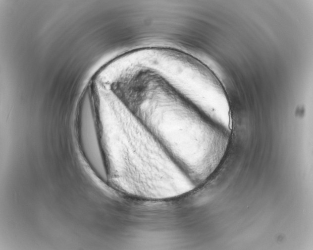 X0000090441142200708102021
