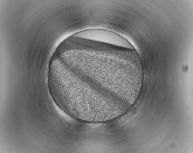 X0000090441143200708102021