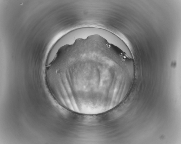 X0000090441144200708102021