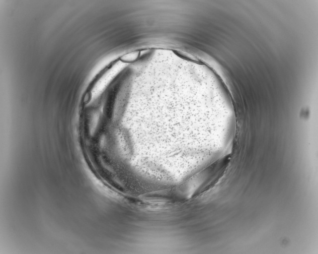 X0000090441147200708102022