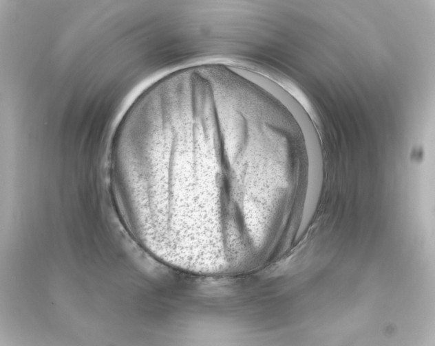 X0000090441148200708102022