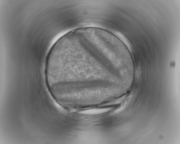 X0000090441149200708102022