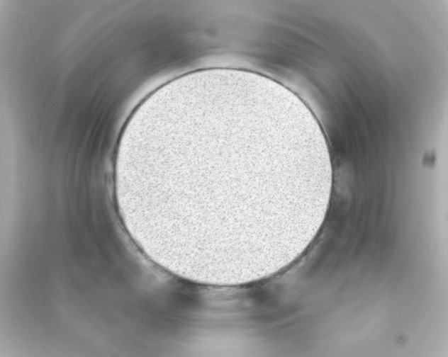 X0000090441150200708102022