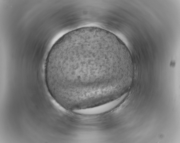 X0000090441151200708102022