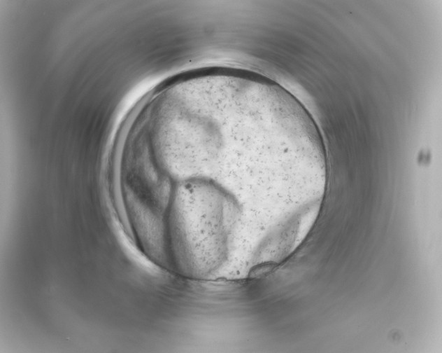 X0000090441152200708102022
