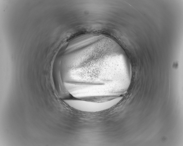 X0000090441153200708102021