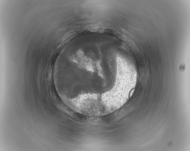X0000090441154200708102021