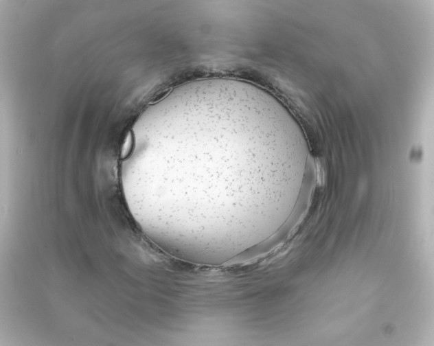 X0000090441155200708102021