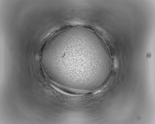 X0000090441157200708102021