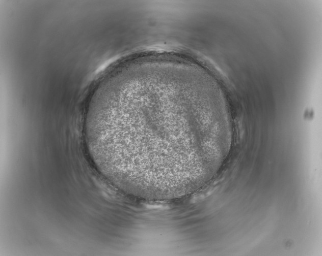 X0000090441158200708102021
