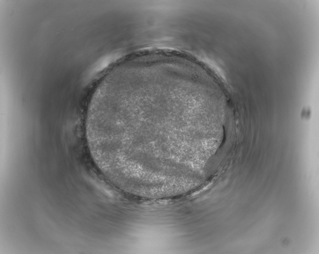 X0000090441159200708102021