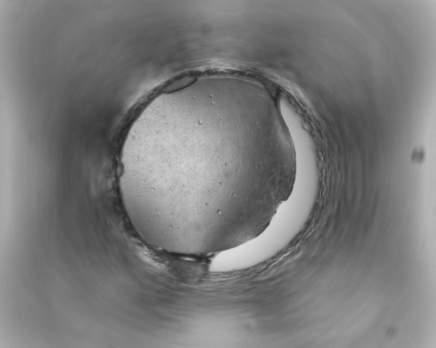 X0000090441160200708102021