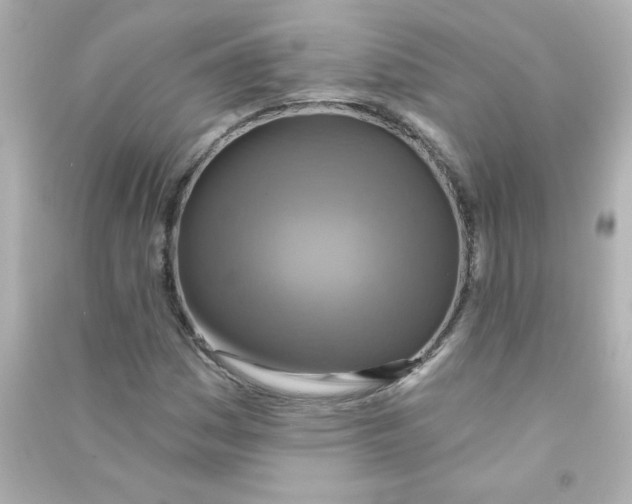 X0000090441161200708102021