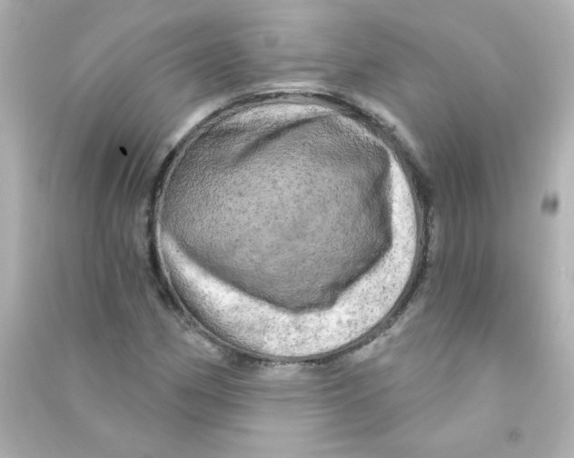 X0000090441162200708102021